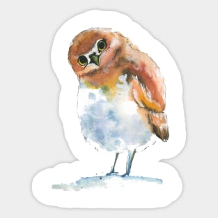 Olllie the Owl Sticker